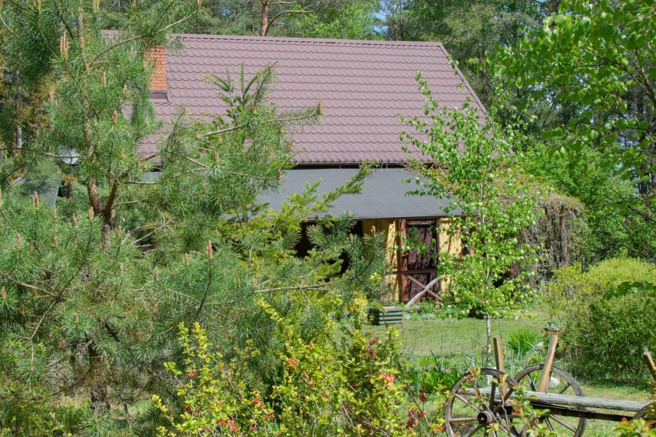 Gospodarstwo Agroturystyczne Nad Jeziorem Wsrod Lasow Lipnica  Luaran gambar