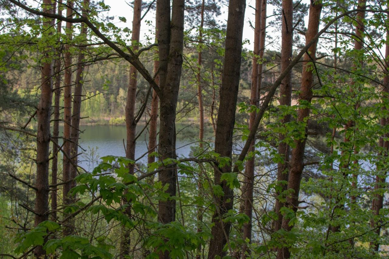 Gospodarstwo Agroturystyczne Nad Jeziorem Wsrod Lasow Lipnica  Luaran gambar