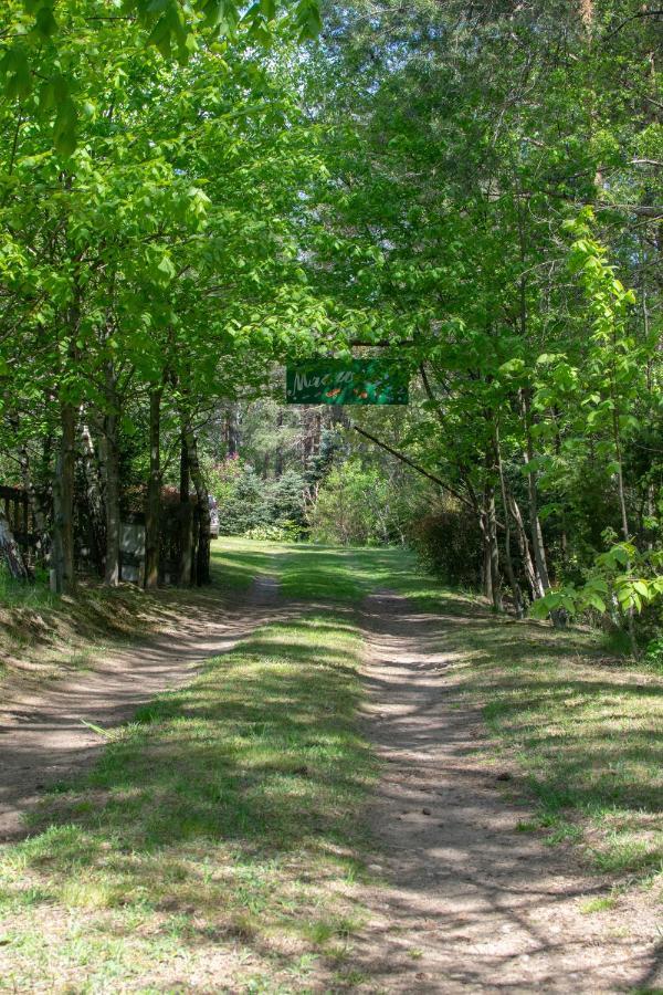 Gospodarstwo Agroturystyczne Nad Jeziorem Wsrod Lasow Lipnica  Luaran gambar