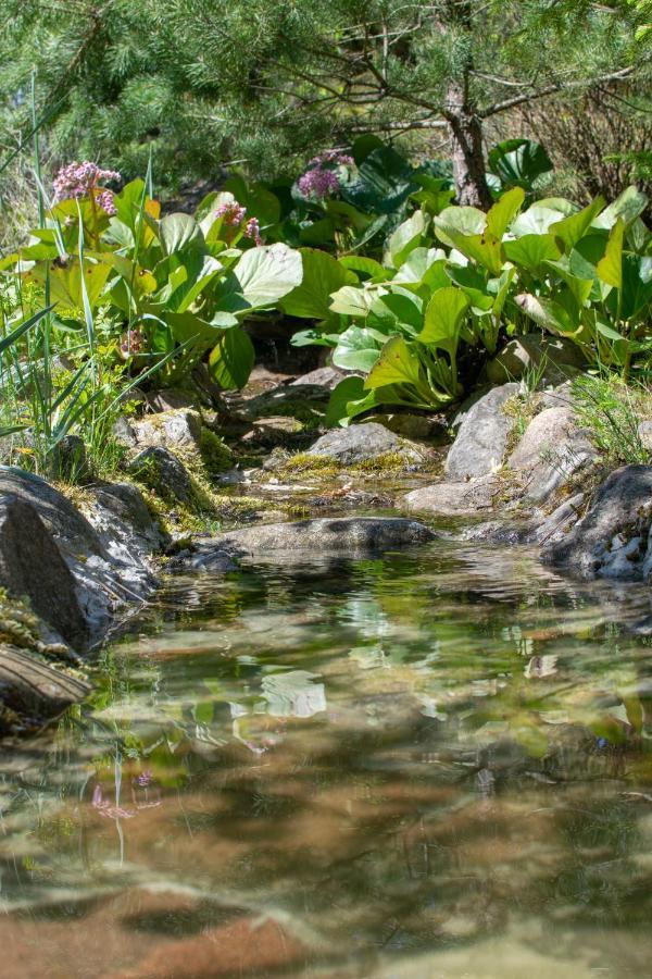 Gospodarstwo Agroturystyczne Nad Jeziorem Wsrod Lasow Lipnica  Luaran gambar
